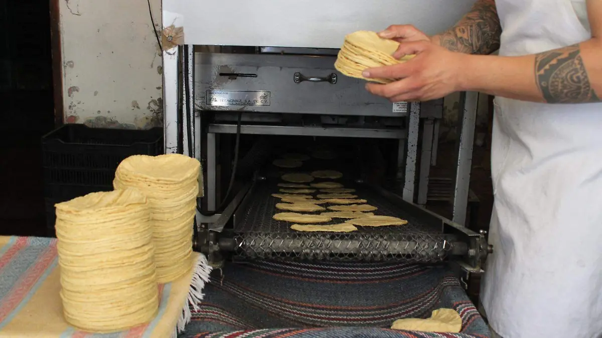 TORTILLAS JULIO